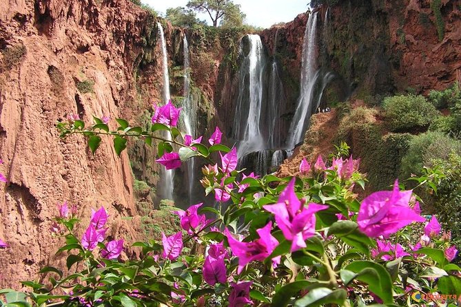 Ouzoud Falls Day Trip From Marrakech Day Trip - Highlights of Ouzoud Falls Day Trip