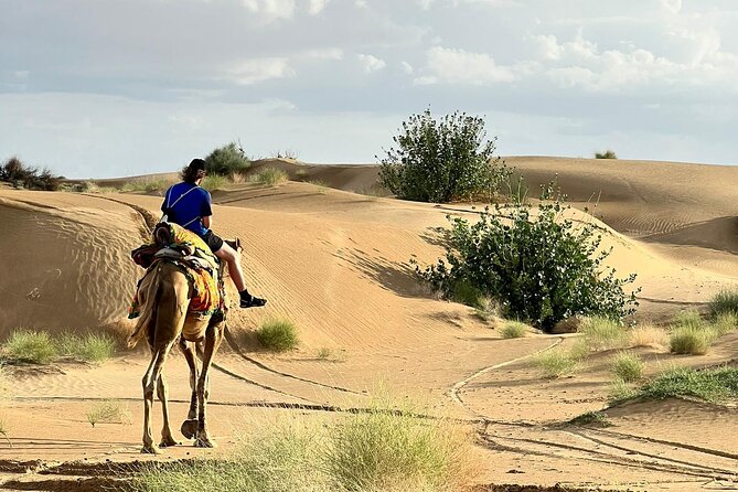 Overnight Camel Safari in Thar Desert