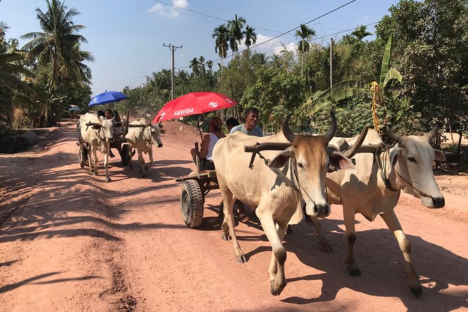 Ox Cart Ride of Rural Cambodia - The Charm of Ox Cart Rides