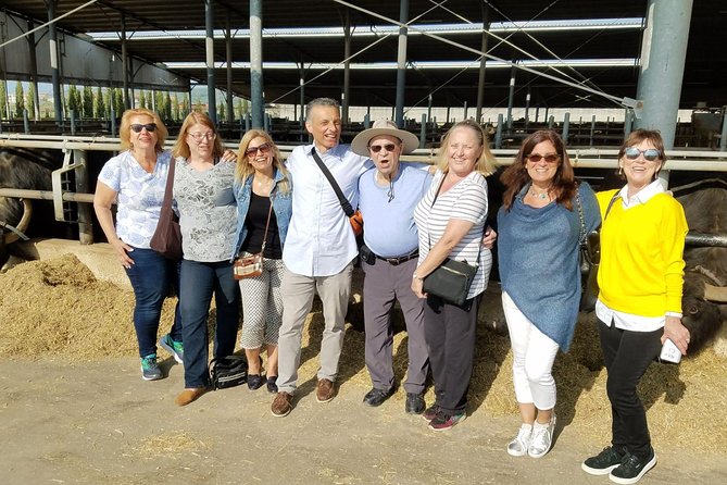 Paestum Orientation Tour - Additional Information