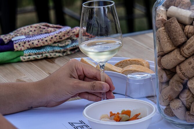 Panoramic Wine Tasting in Oltrepò Pavese