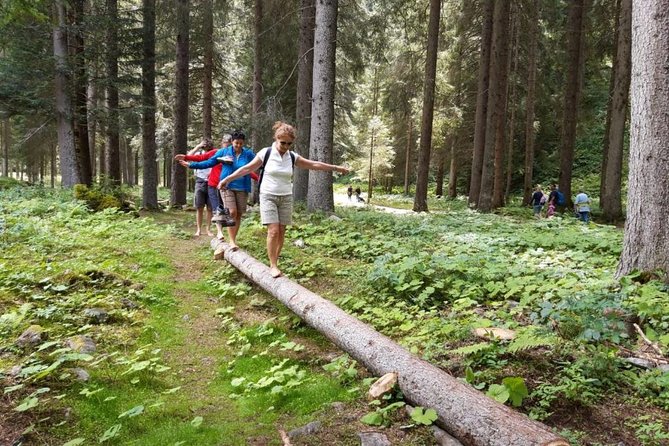 Park Therapy and Barefooting - Healing Properties of Barefooting