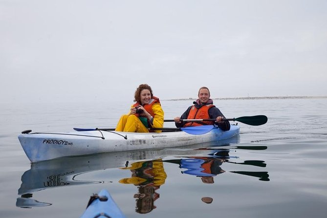 Pelican Point Kayaking Half-Day Tour - Additional Information