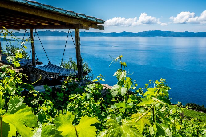 PelješAc Private Wine Tour - Wine and Food Pairing - Lunch Menu Highlights