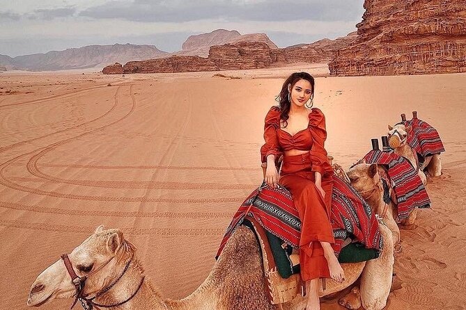 Petra & Wadi Rum Full-Day Private Guided Tour From Amman - Inclusions and Pricing