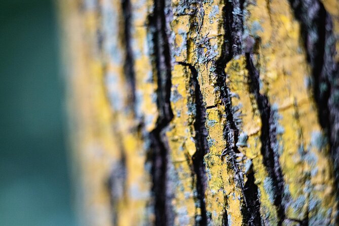 Photo Tour of Macro-Photography - Lake Garda - Meeting Point and Start Time