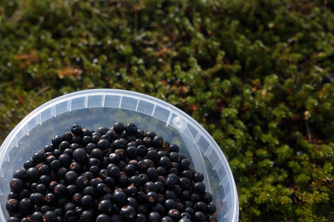 Picking Wild Berries and Making Your Own Jam in Iceland - Booking Information