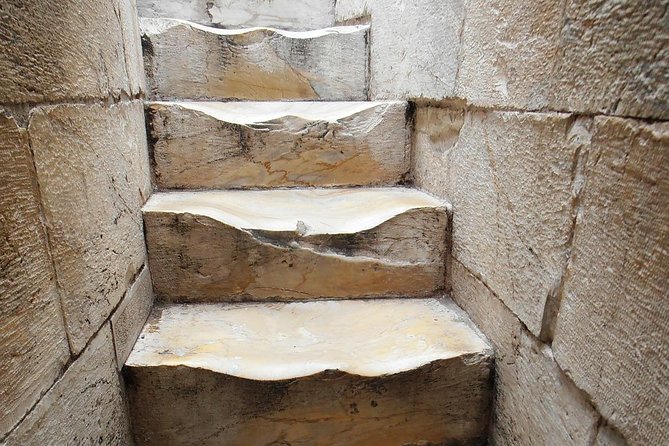 Pisa & Lucca Full-Day Tour With Tower Skip-The-Line Access - Professional Guide Insights