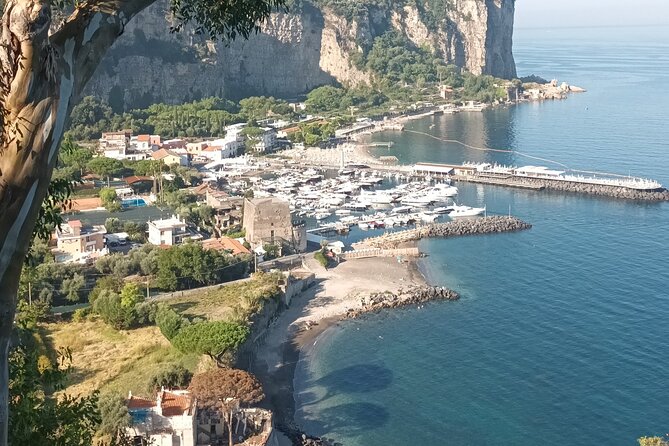 Pompei and Sorrento Tour - Duration and Additional Info