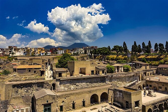 Pompeii and Herculaneum Skip the Line - From Amalfi and Positano - Tour Inclusions