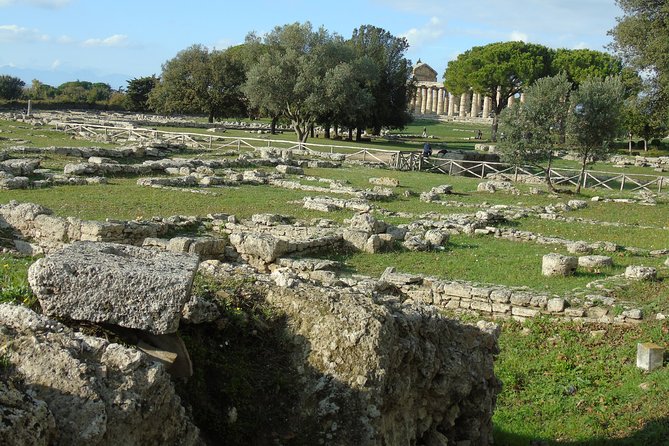 Pompeii and Paestum Fullday From Naples or Sorrento or Positano or Amalfi - Price and Booking Information