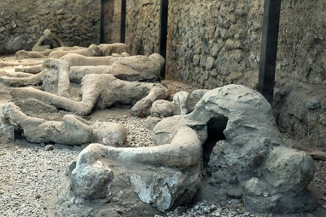 Pompeii Archaeological Private Tour - Accessibility Details