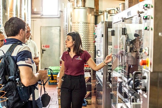 Pompeii Ruins & Hercualenum With Lunch & Wine Tasting From Rome - Inclusions and Experiences