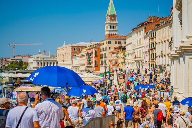 Poreč to Venice Day Trip by High-Speed Catamaran - Meeting Point
