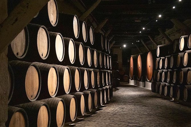 Porto City Tour (Full Day) Price per Vehicle - Tour Details and Inclusions