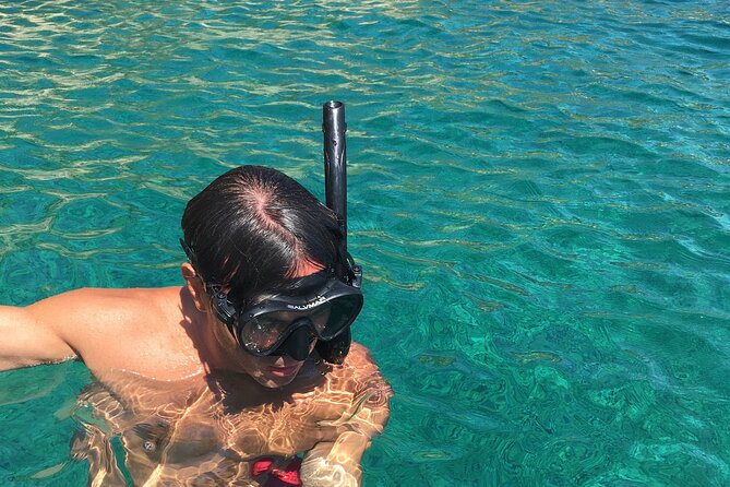 Porto Conte Park 3 Hours Snorkeling Experience - What to Expect