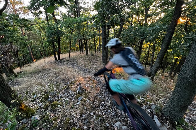 Prague Mountain Biking: Blast Through The Best Singletracks - Tour Overview