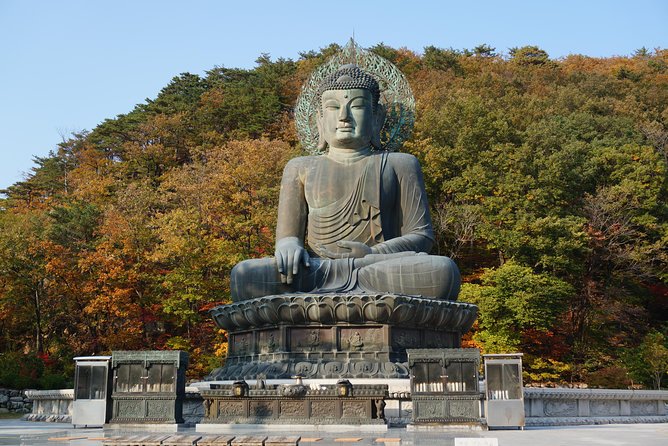[Premium Private Tour] Mt Seorak & East Sea or Nami Island From Seoul - Logistics