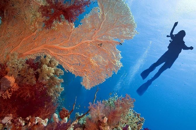 Private 14 Nights Cairo, Nile Cruise & Sharm El Sheikh - Inclusions