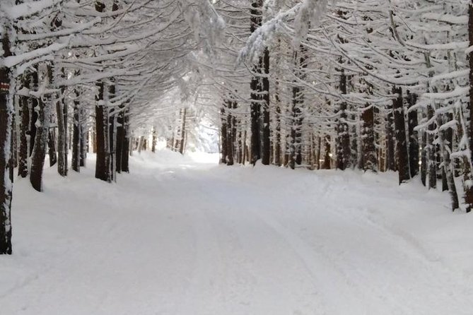 Private 2-Day Trip With Snowshoes - Booking and Confirmation