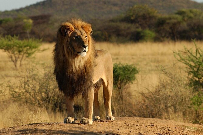 Private 2 Days Safari to Tarangire and Ngorongoro