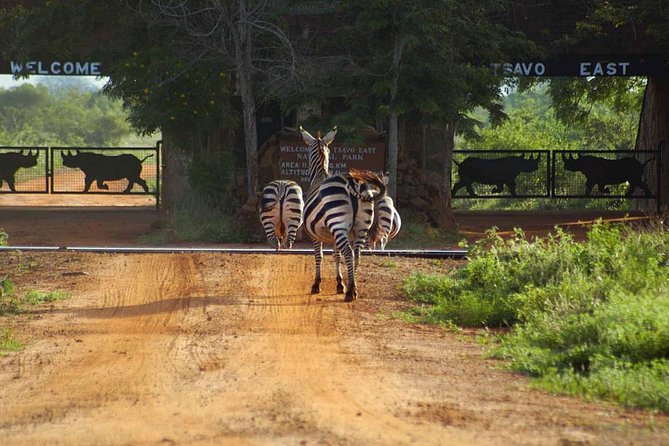 8 Best 3 Day Tours In Malindi