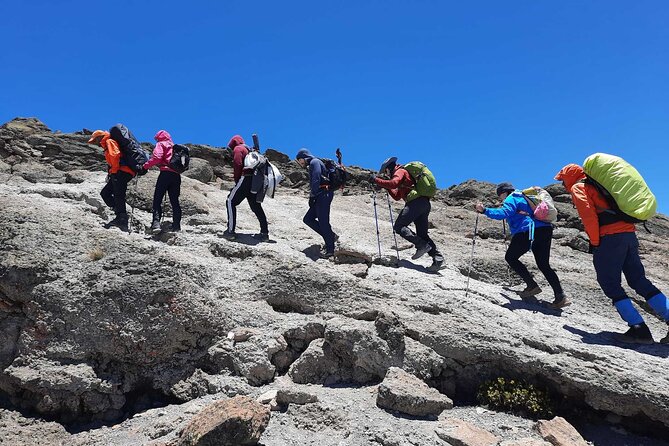 Private 8 Days Guided Tour Visit to Kiliminjaro Lemosho Route