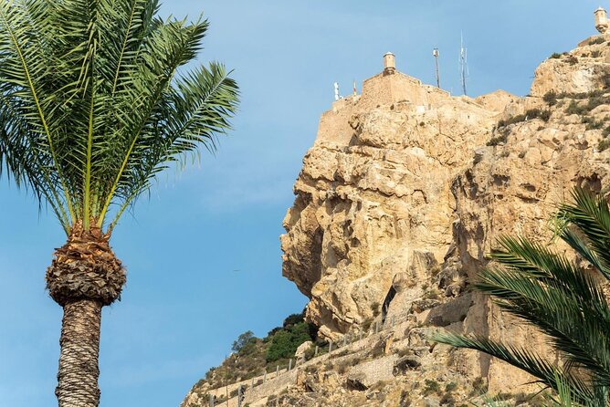 Private Alicante Shore Excursion With Castle Tour - Tour Overview