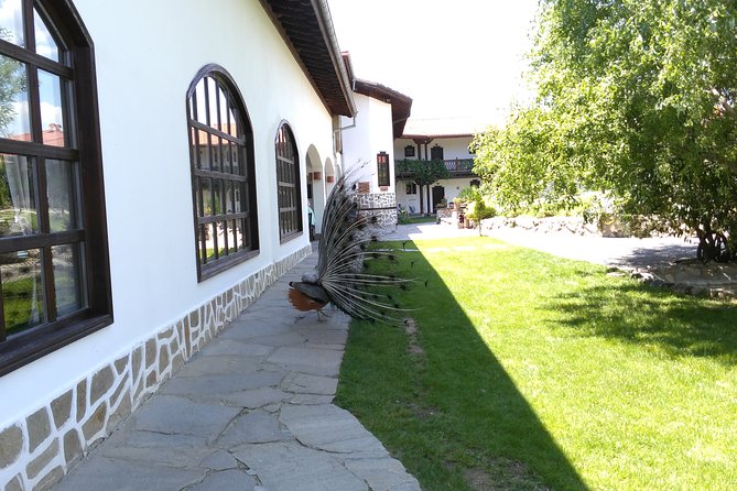 Private Ancient History Spa and Wine From Sofia - Tour Highlights