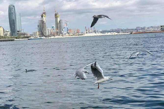 Private Baku City Tour