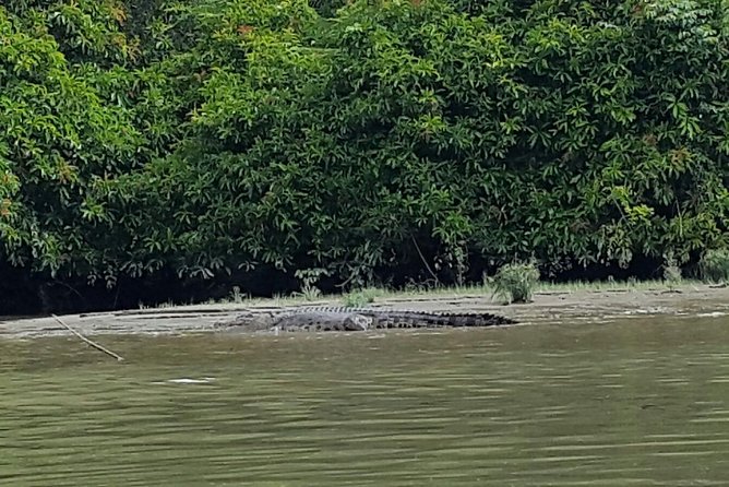 Private Bandar Highlight, Water Village & Proboscis Monkey Tour