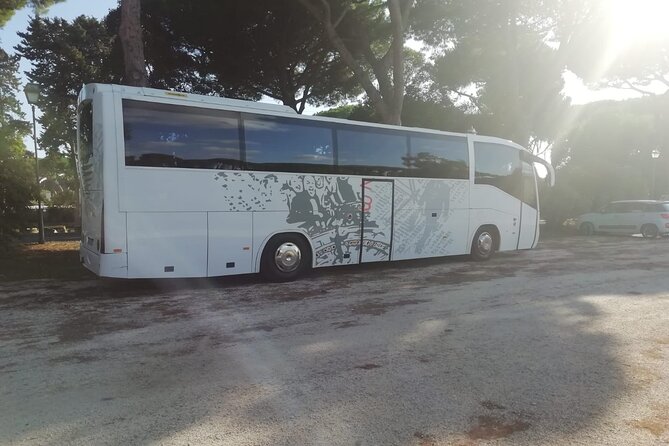 Private Bus From Venice Airport (Vce) to Chioggia Cruise Port