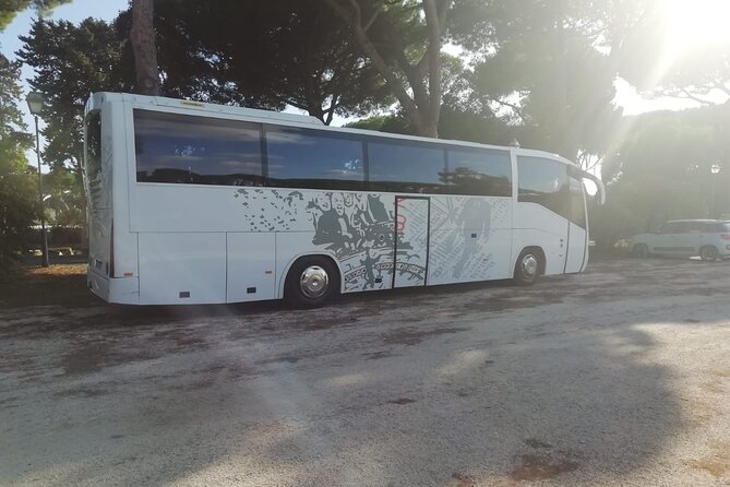 Private Bus From Venice Hotels+ Water Taxi to Trieste Cruise Port - Air-Conditioned Private Bus Service