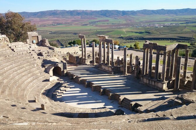 Private Day Tour Dougga - Inclusions