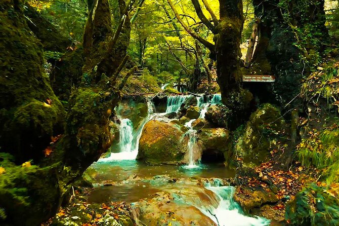 Private Day Tour From Athens to Pavliani Forest Park Trek - Cancellation Policy