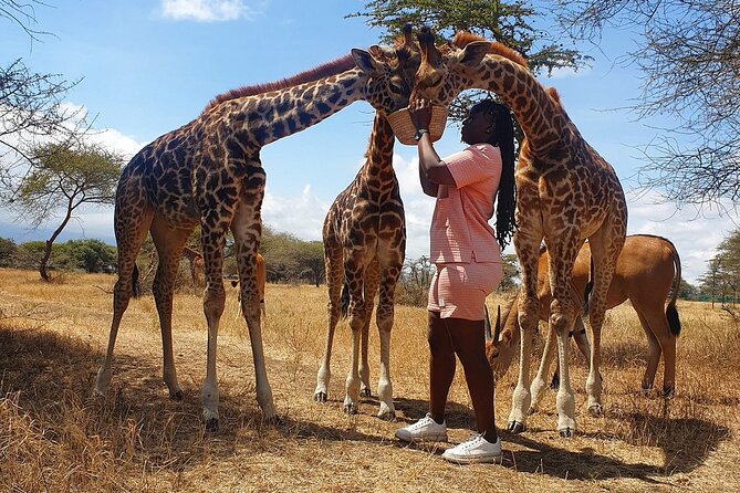 Private Day Tour in Serval Wildlife and Kikuletwa Hot Spring