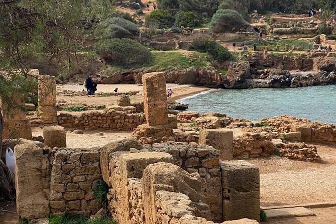 Private Day Tour to the Roman Ruins of Tipaza - Reviews