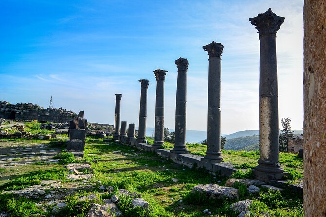 Private Day Tour to Umm Qais From Amman With Optional Hiking Trail - Inclusions and Amenities