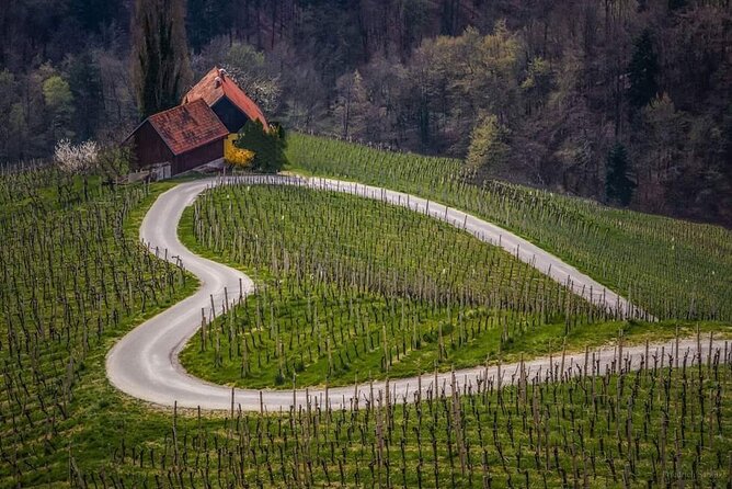 Private Day Trip to Ljubljana From the Slovenian Riviera. - Tour Details