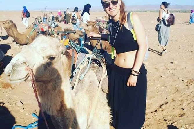 Private Day Trip to Marrakech From Casablanca - Inclusions and Amenities