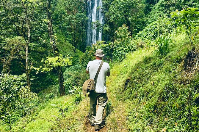 Private Day Trip to Materuni Waterfall and Coffee Tour - Meeting and Pickup Details