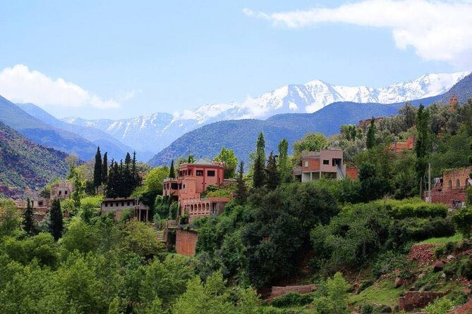 Private : Day Trip to Ourika Valley Atlas Mountains - What To Expect