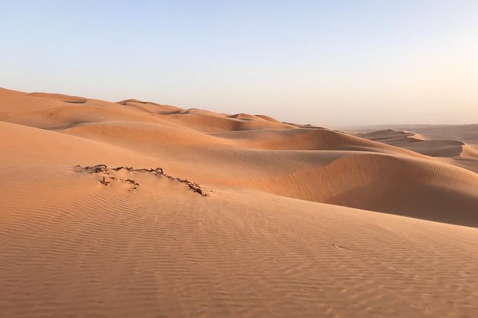 Private Day Trip to Wahiba Sands & Wadi Bani Khalid (Desert Safari) - Customer Reviews