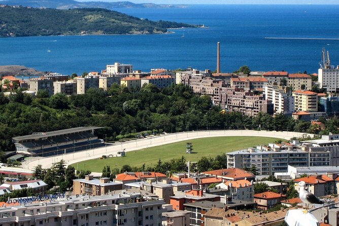 Private Direct Transfer From Venice to Trieste, up to 8 Pax - Service Details