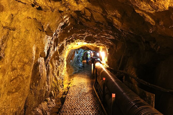 Private DMZ Peace Tour: 3rd Invasion Tunnel(Monorail) and Suspension Bridge - Tour Inclusions