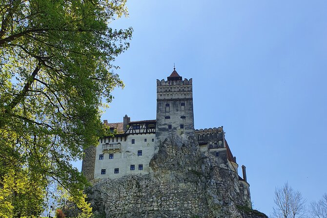 Private Draculas Castle Tour From Bucharest in 8 Hours - Pickup and Meeting Details