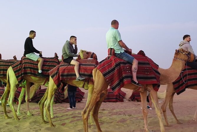 Private Dubai Sunrise With Red Dune Bashing Camel Ride Boarding - Tour Details