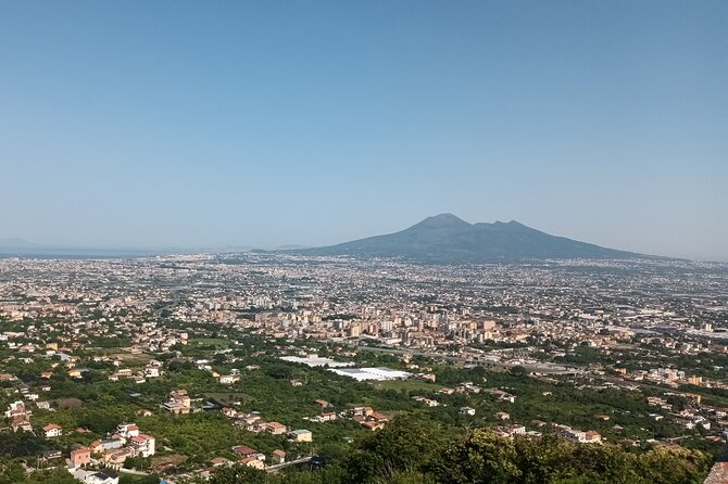 Private Food and Wine Tour by Mount Vesuvius - Transportation Details