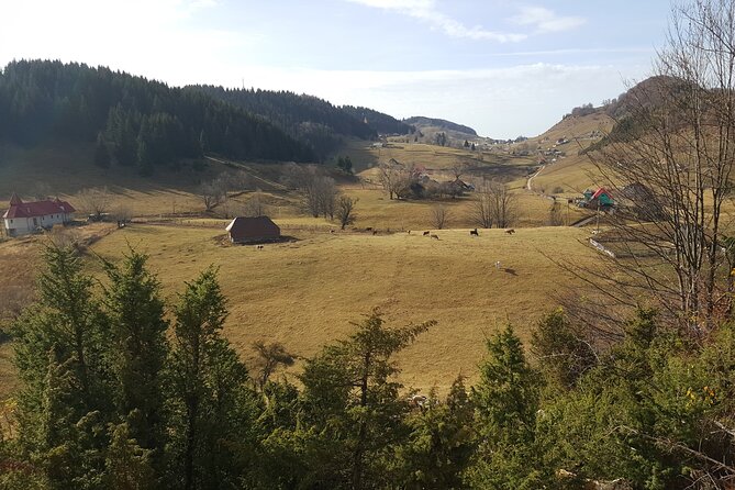 Private Full-Day Bran Castle Tour With Lunch From Brasov - Pickup Options