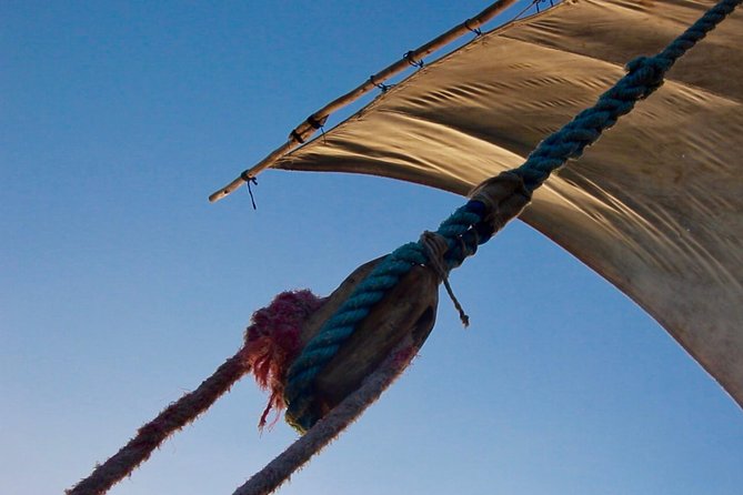 Private Full-Day Cruise on Sandbank and Kwale Island - Logistics Information